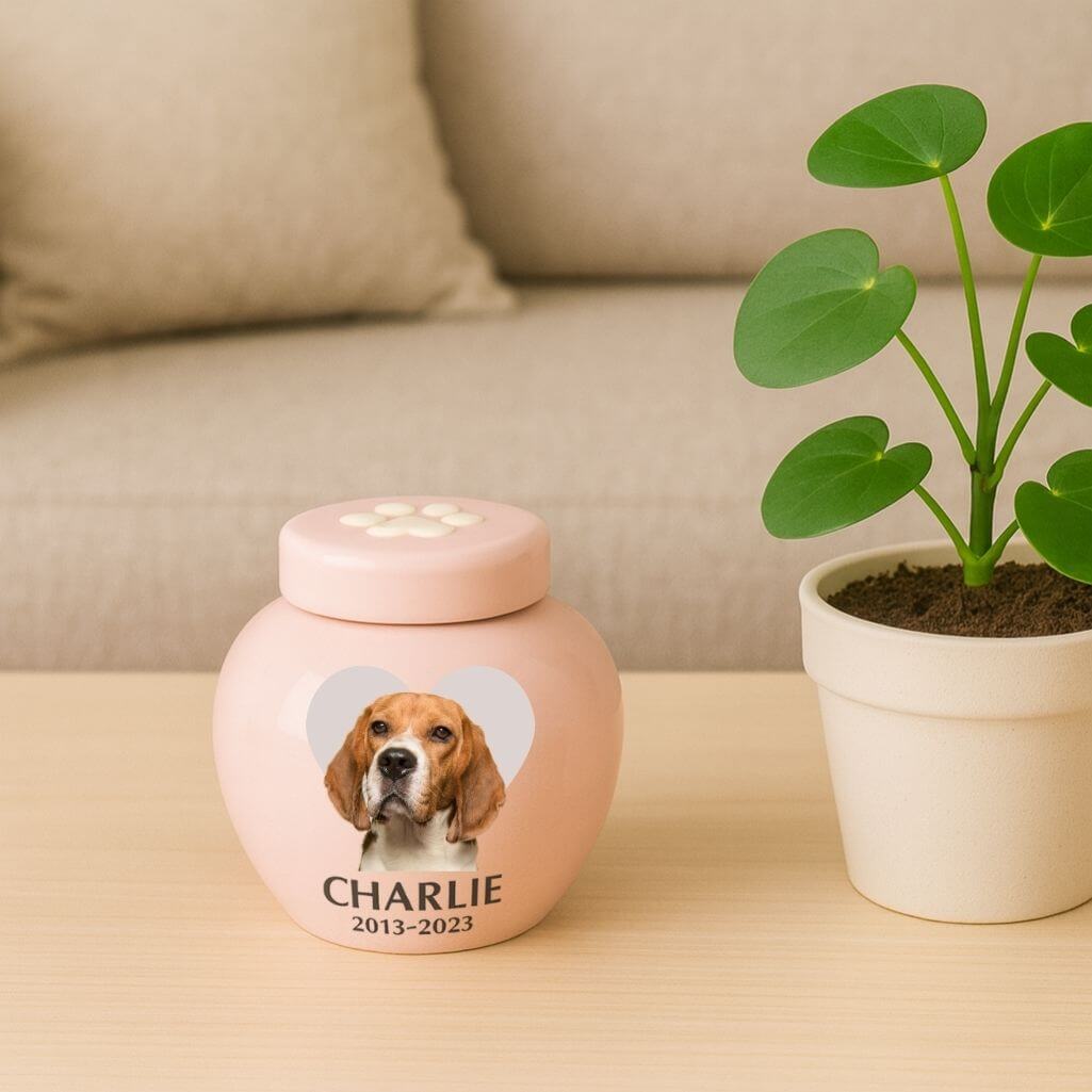 Personlig, keramisk hundurna med foto — urna för husdjurskremering med namn, datum & hjärt-hyllning