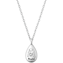 Personalised Dog Memorial Teardrop Urn Necklace – Engraved Pet Picture-to-drawing Ashes Keepsake with Name