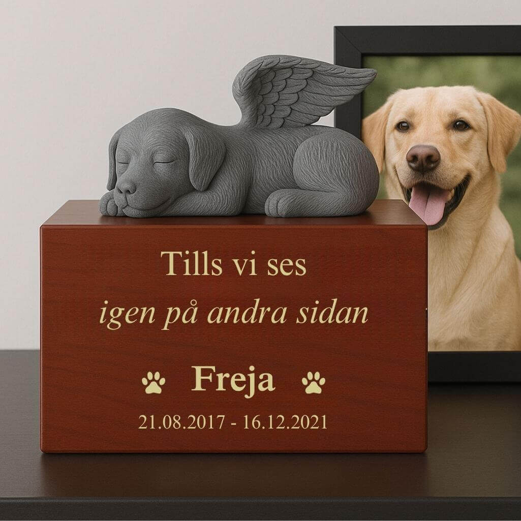 Personlig hundurna i trälåda med ängelhund-staty — urna för husdjurskremering med namn, datum & hyllning