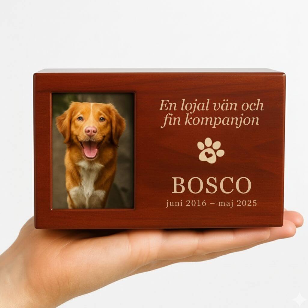 Personlig hundurna i trälåda med foto — graverad minneslåda för aska med namn, datum & hyllning