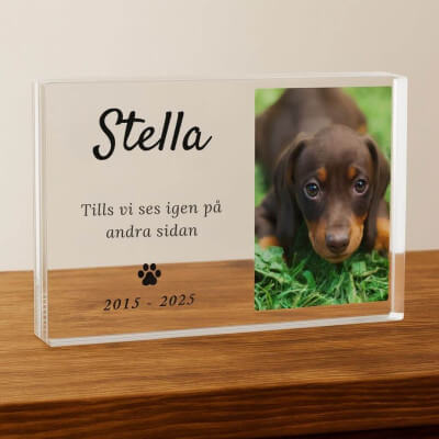 Personlig minnesgåva för hund — minnesplakett i...