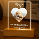 Personlig minneslampa för hund med foto — rektangulär lysnade LED-skylt i akryl med graverat namn & datum