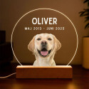 Personlig minneslampa för hund med foto — rund minnesplakett i akryl med LED-lampa samt graverat namn & datum