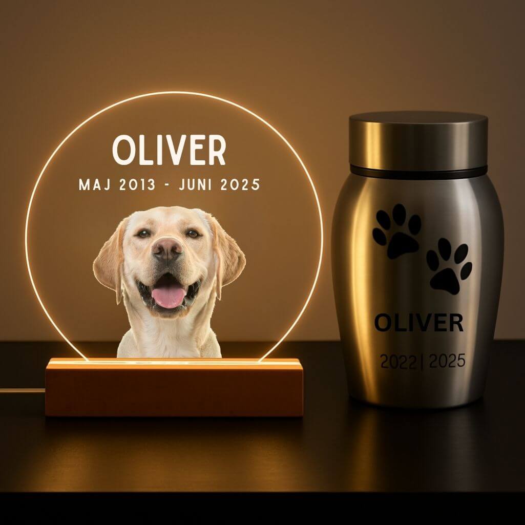 Personlig minneslampa för hund med foto — rund minnesplakett i akryl med LED-lampa samt graverat namn & datum