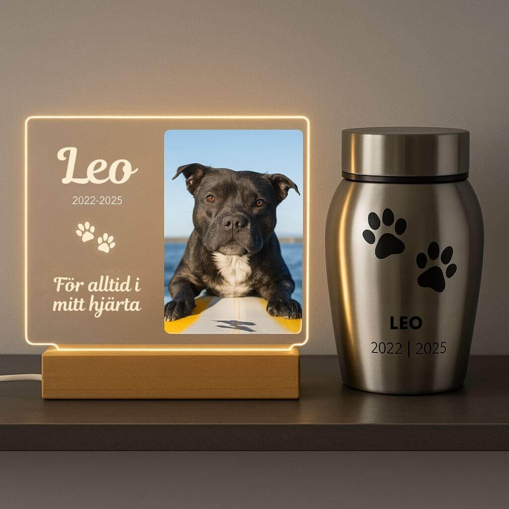 Personlig minneslampa för hund med foto — rektangulär minnesplakett i akryl med LED-lampa och landskap samt graverat namn & datum