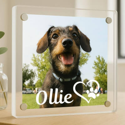 Personalised Acrylic Dog Memorial Frame –...