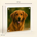 Acrylic Dog Memorial Frame – Square Custom Pet Photo Plaque