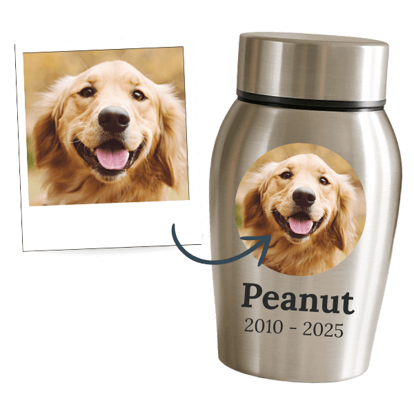 Personliga hundurnor